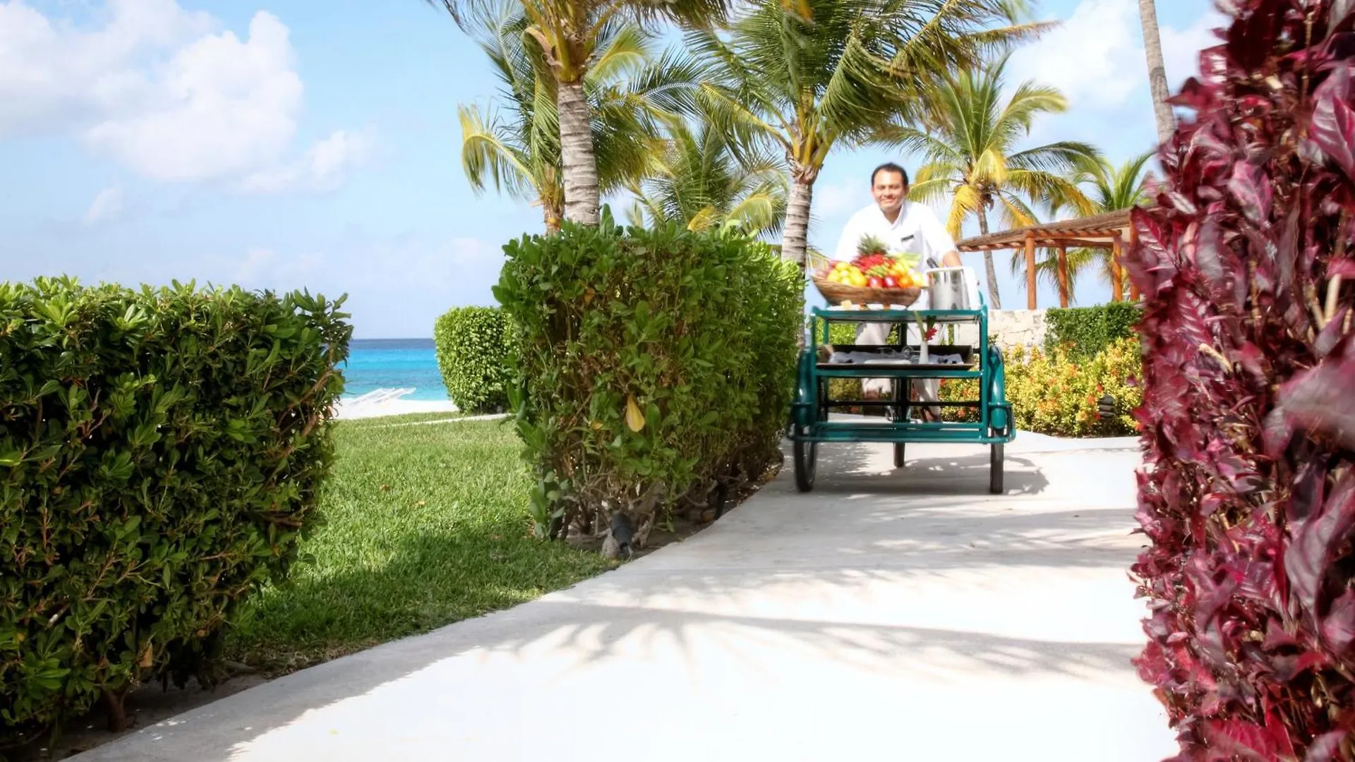 Presidente Intercontinental Cozumel Resort & Spa By Ihg
